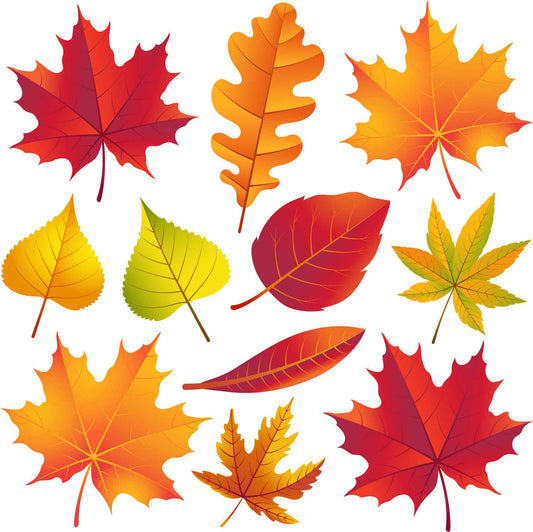 Fall Leaves - Halloween Half Sheet Misc. (Must Purchase 2 Half sheets - You Can Mix & Match)