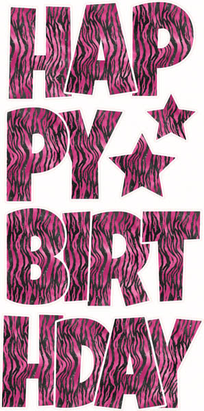 Happy Birthday 6 pc Ez Set ANIMAL PRINTS Black and Pink Zebra