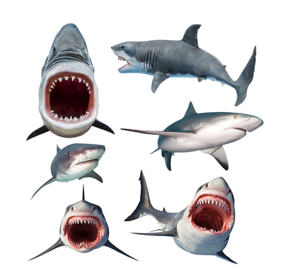 Sharks Half Sheet Misc. (Must Purchase 2 Half sheets - You Can Mix & Match)