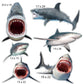 Sharks Half Sheet Misc. (Must Purchase 2 Half sheets - You Can Mix & Match)