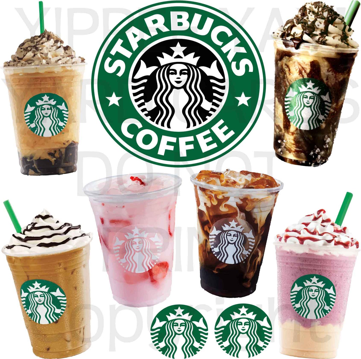 Starbucks Half Sheet